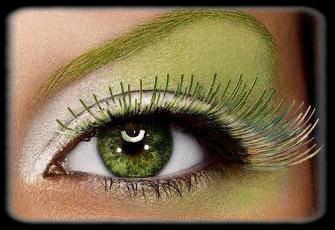 Un oeil
